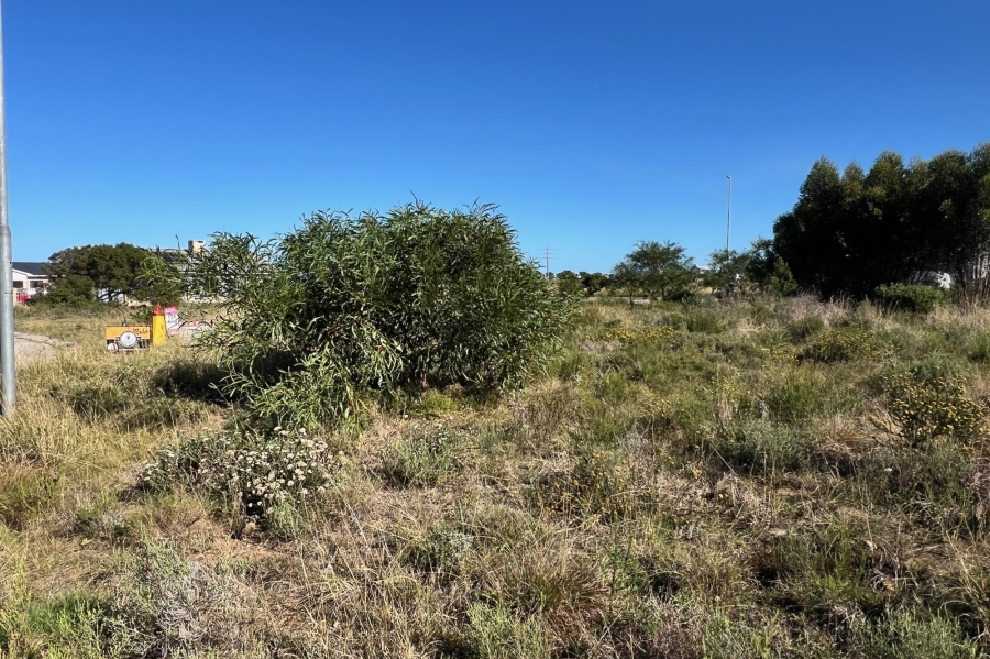 0 Bedroom Property for Sale in Fountains Estate Eastern Cape